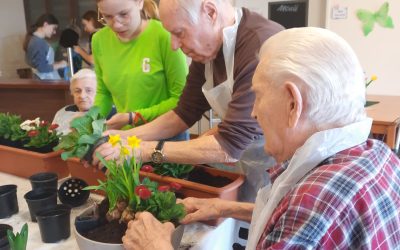 Gemeinsames Gärtnern verbindet Generationen: Frühlingsblumen und Kräuter im AWO-Heim gepflanzt