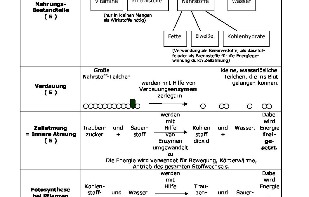 Microsoft_Word__Grundwissen_Biologie_8neue_Version